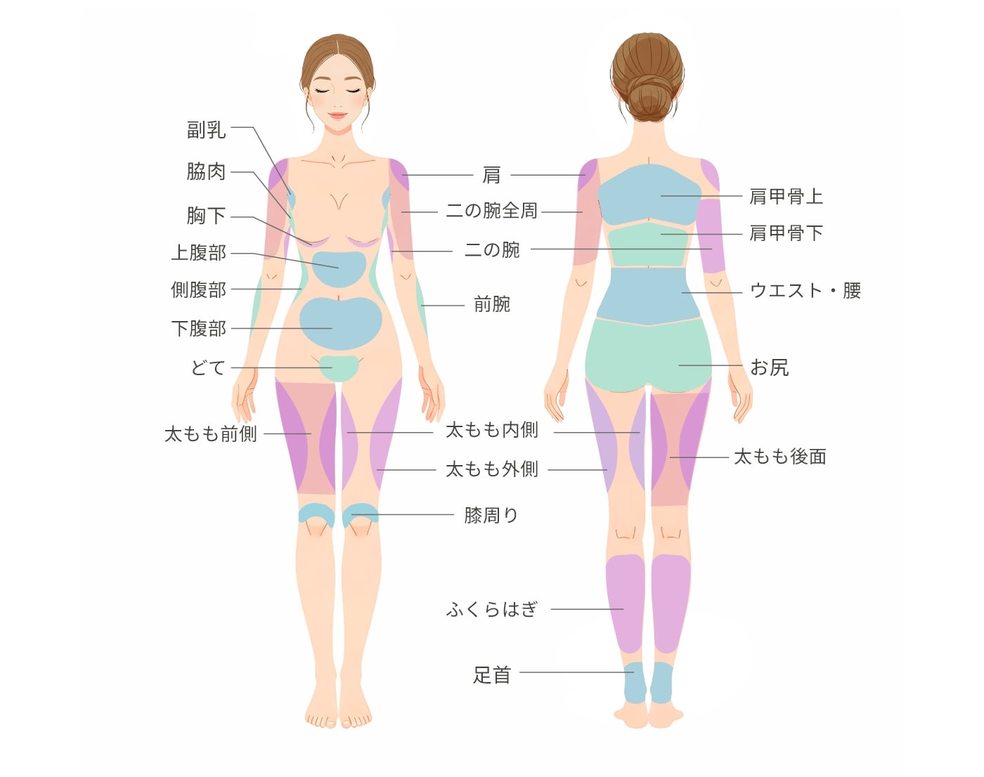 体の脂肪吸引部位