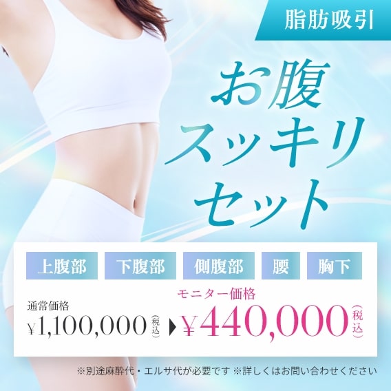 お腹スッキリセットモニター